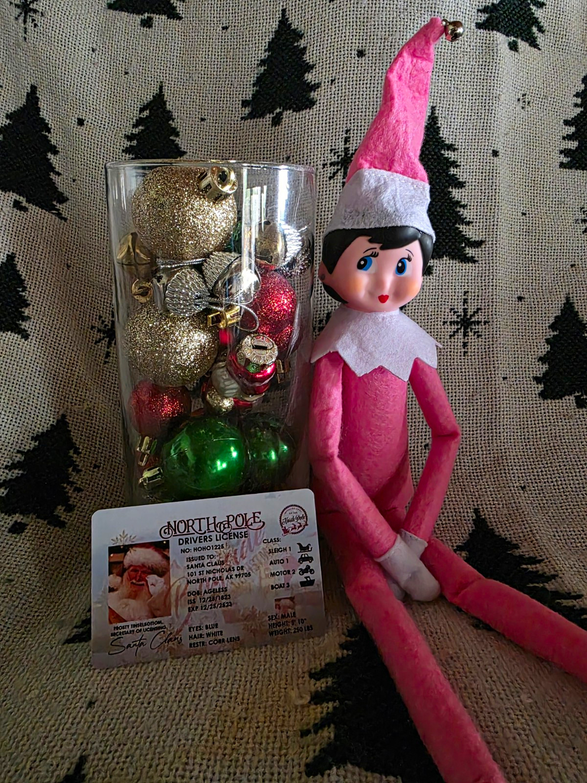 The Elf on the Shelf Pink Girl Doll  w/ Santa\'s Driver\'s License 