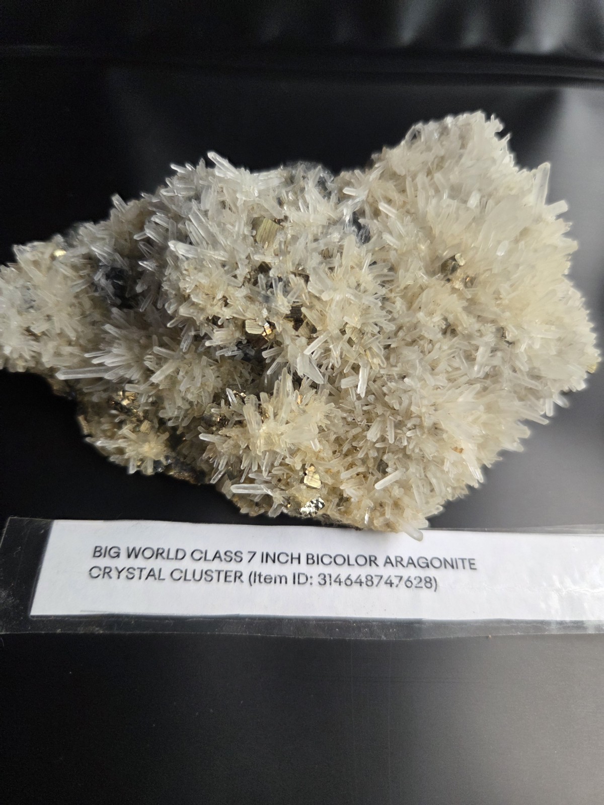 • BIG WORLD CLASS 7 INCH BICOLOR ARAGONITE CRYSTAL CLUSTER.\