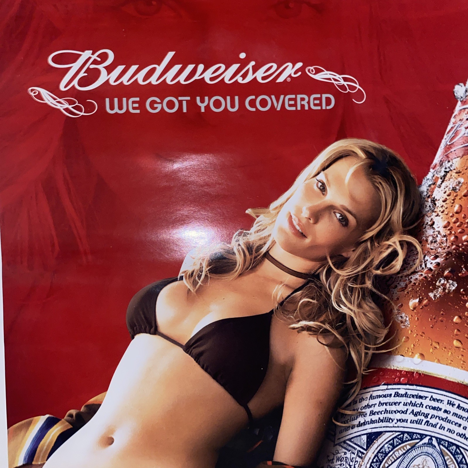 2006 Budweiser SI Sports Illustrated Swimsuit GIrl EXCELLENT CONDITION 