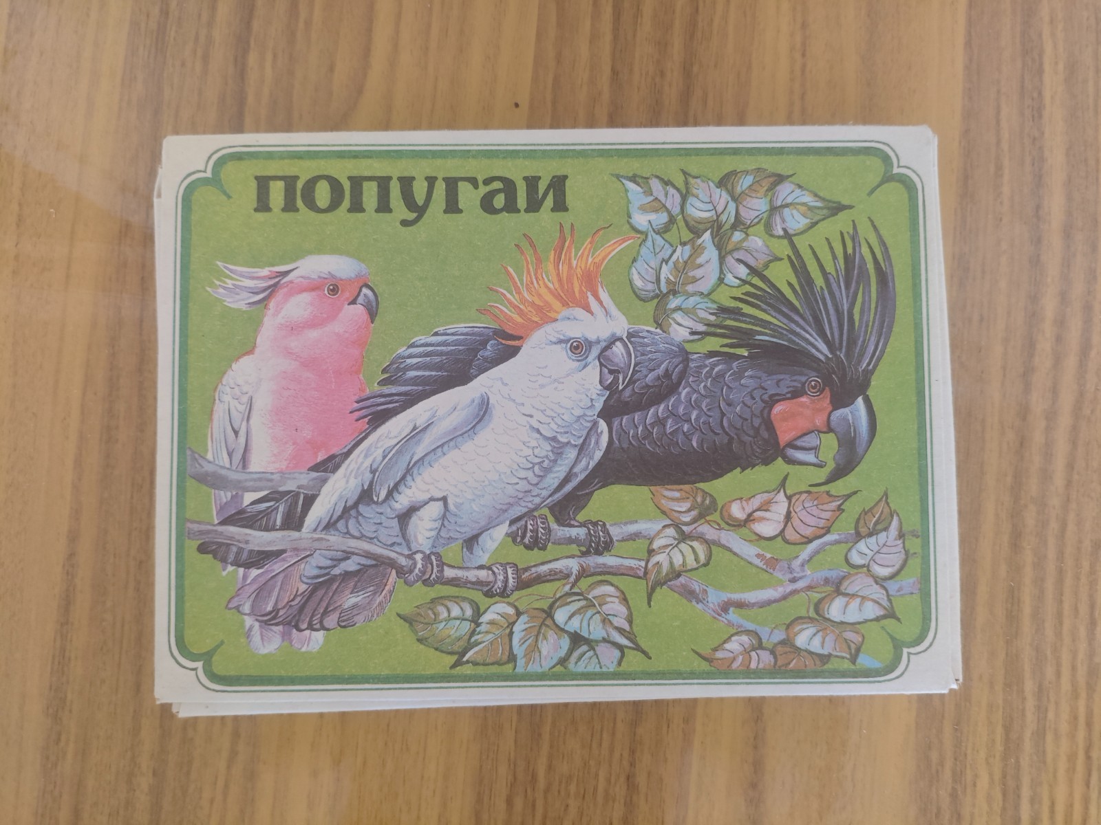 Two Vintage Soviet Parrots Souvenir Match Sets 36 Boxes 1991