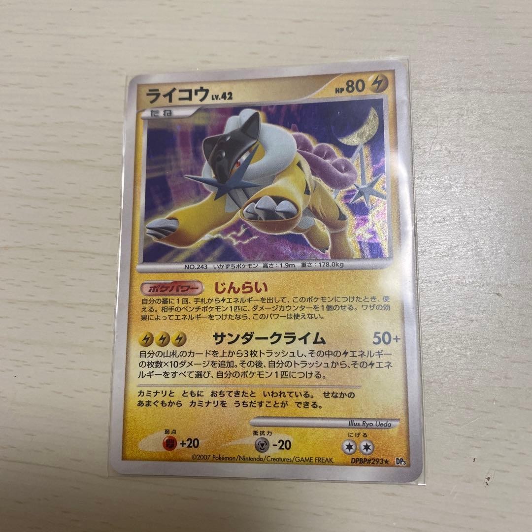 Raikou 293