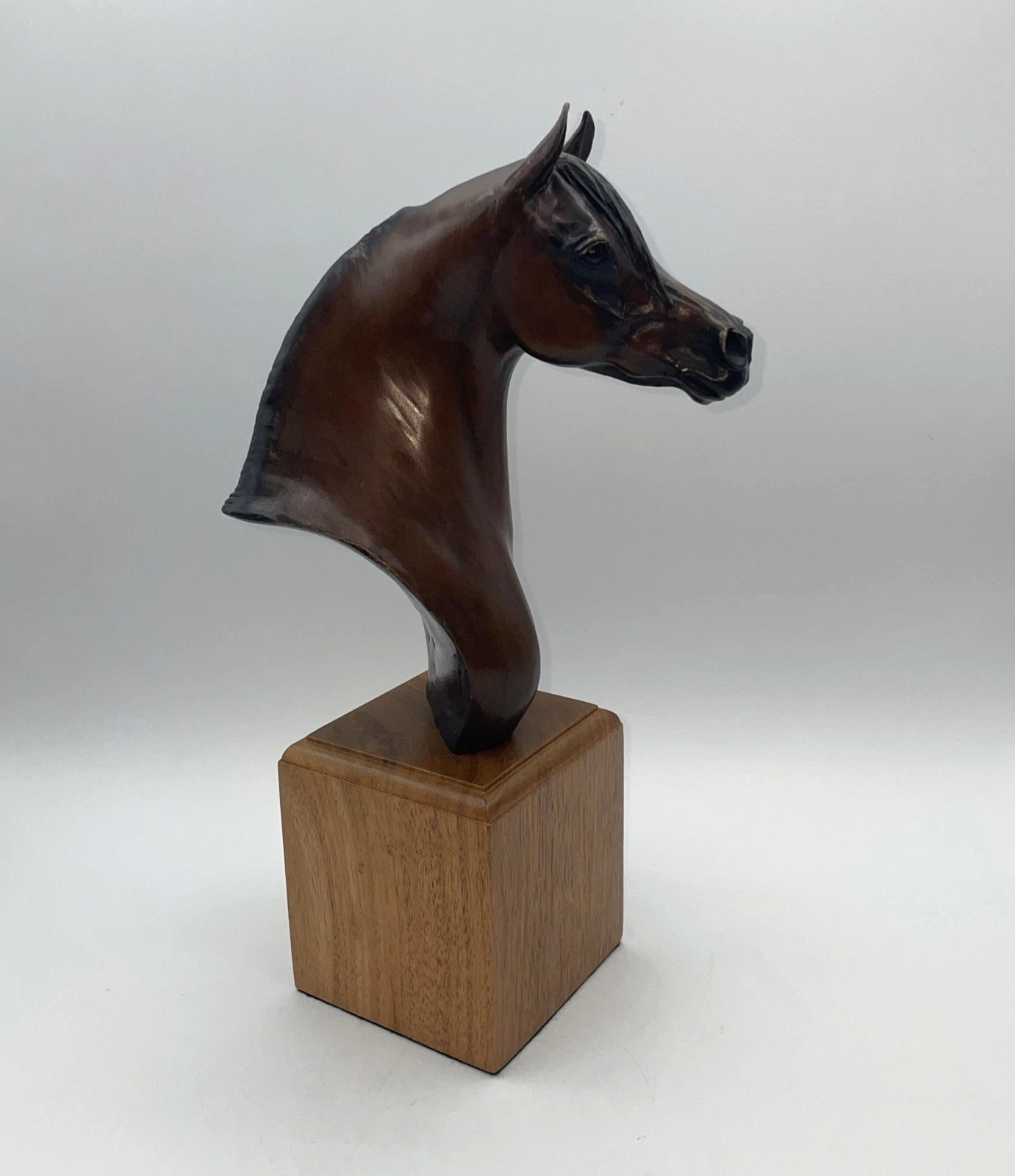 JONATHAN MOELLER BRONZE ARABIAN HORSE SCULPTURE DATED 2011, 12\