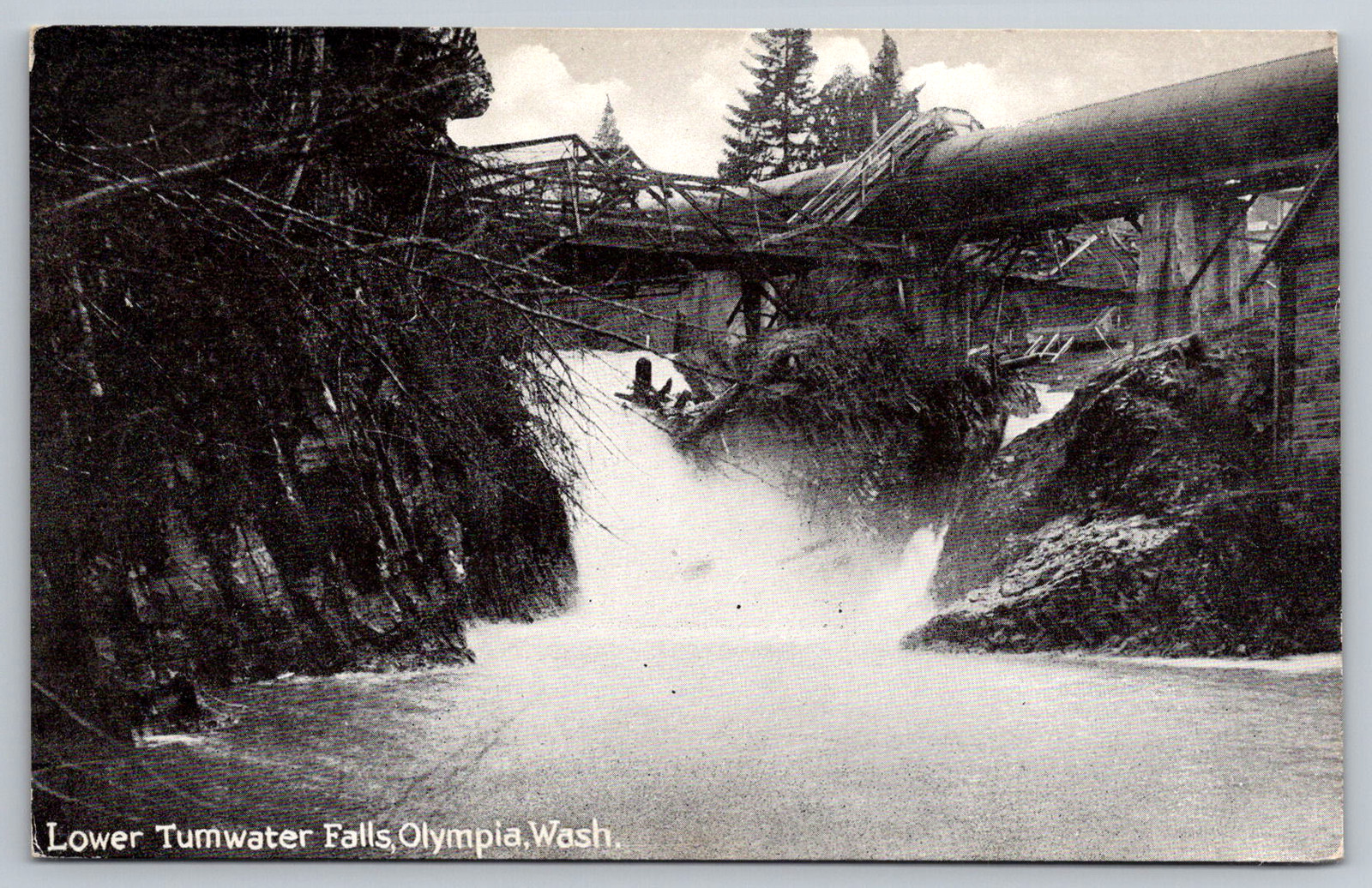 c1910s Lower Tumwater Falls Olympia Washington Postcard