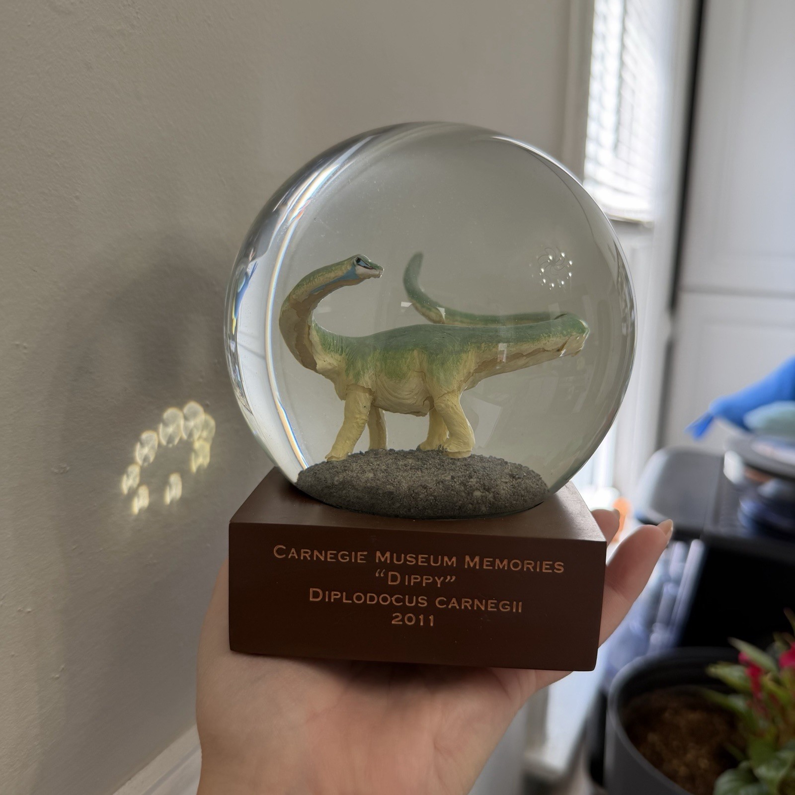 RARE Carnegie Museum 2011 “Dippy” Diplodocus Carnegii Snow Globe Dromedary