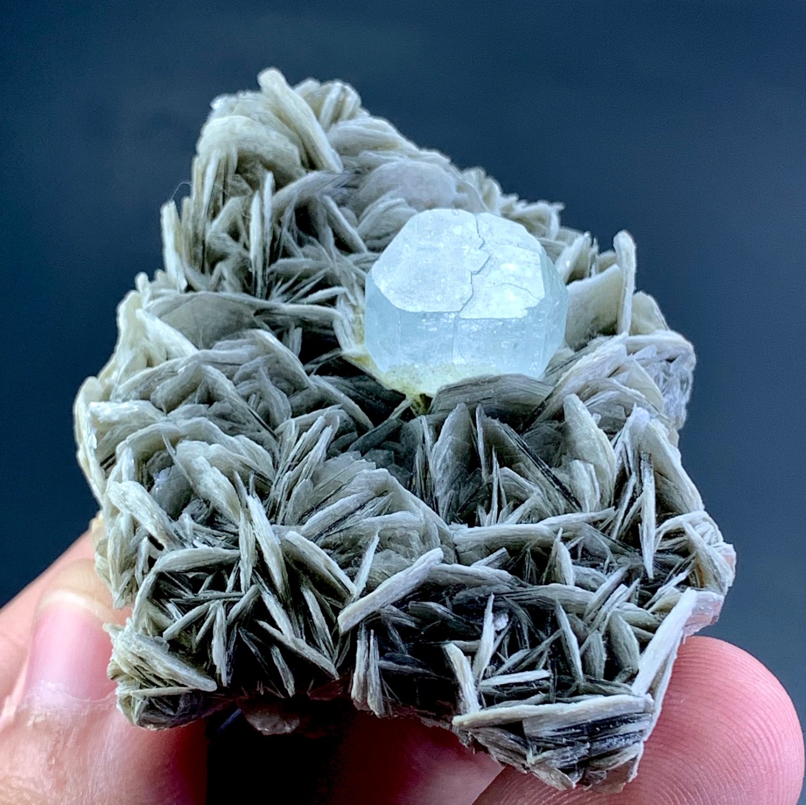 363 Carat Aquamarine Crystal on Mica Specimen From Skardu Pakistan
