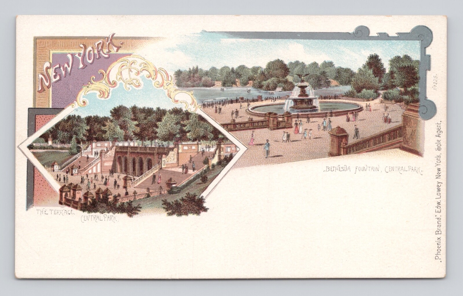 Postcard Private Mailing Card NY City The Terrace Central Park