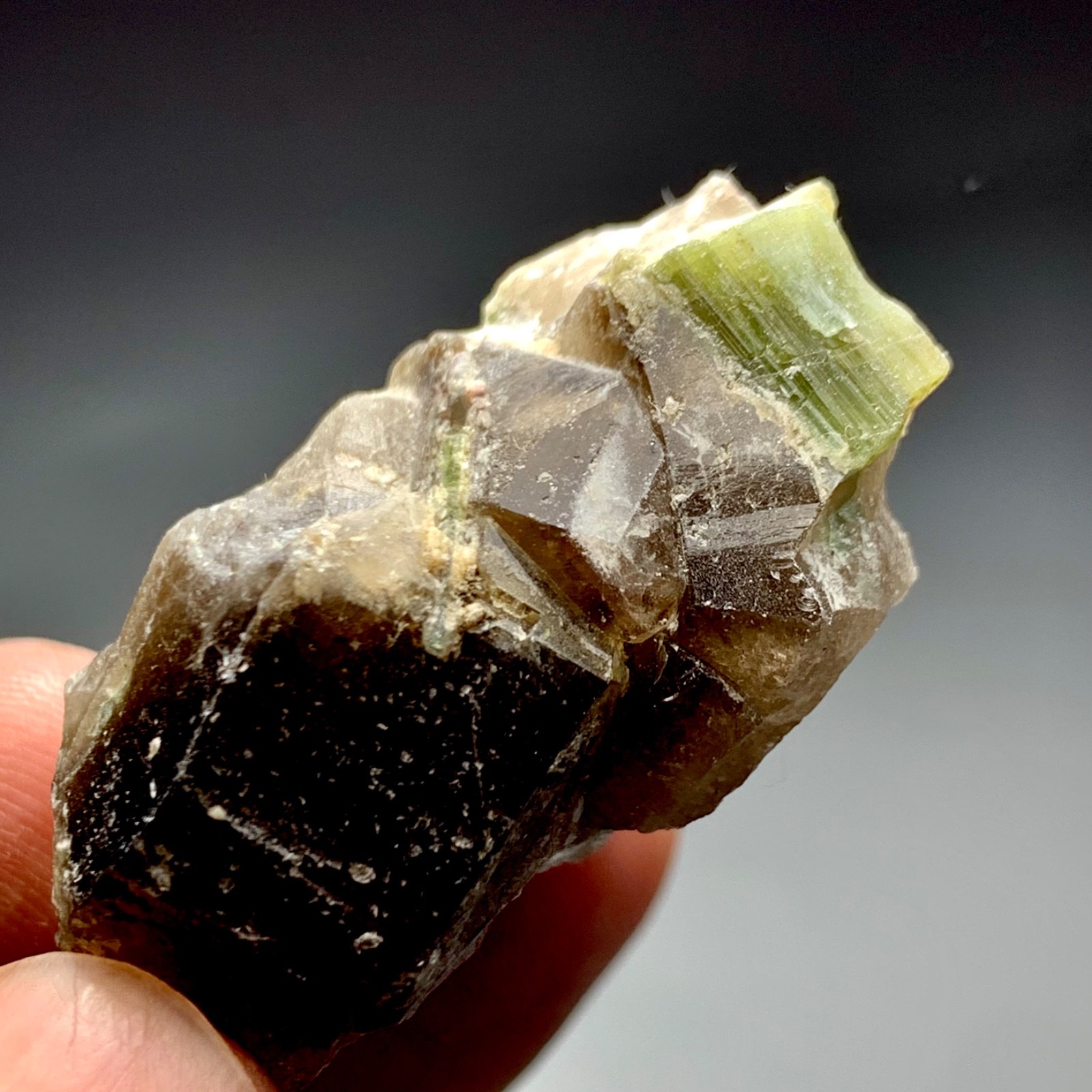 129 CT Terminated Natural Tourmaline Crystal with Quartz From Afghanistan