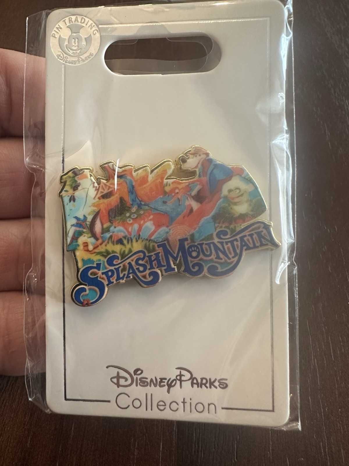 Disney Splash Mountain Brer Fox Bear Frog Trading Pin
