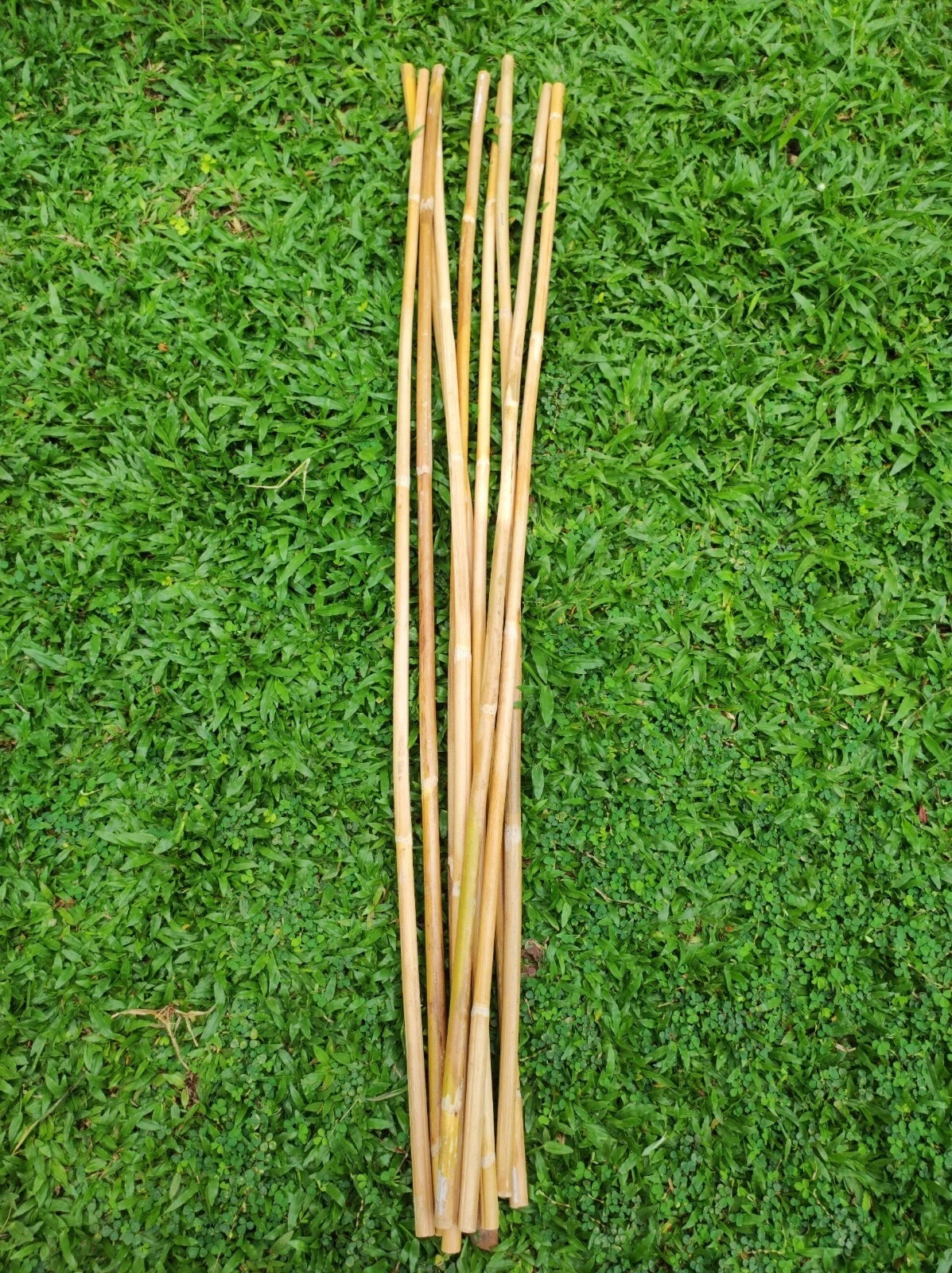 Rattan Cane Sticks 3pcs - Flexible/ Natural/ 0.6-0.8 cm diameter/ 40