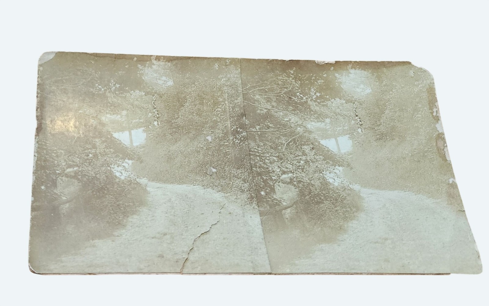Antique Stereoview Wooded Path Photography Sepia-Toned Many flaws