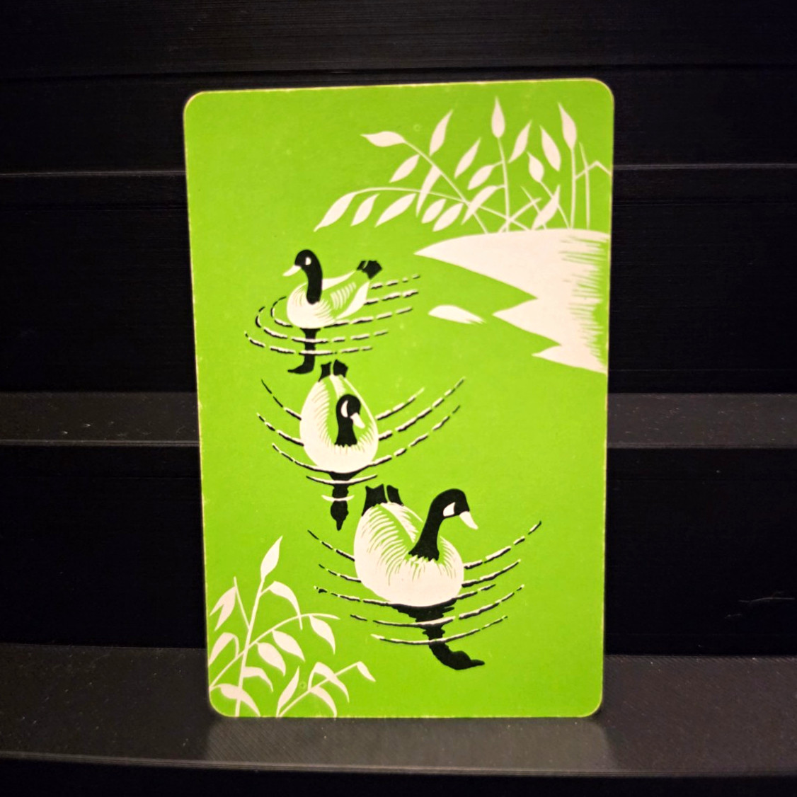 Vintage 1950s Congress Playing Card Single Swap Mid-Century Ducks on Pond Green