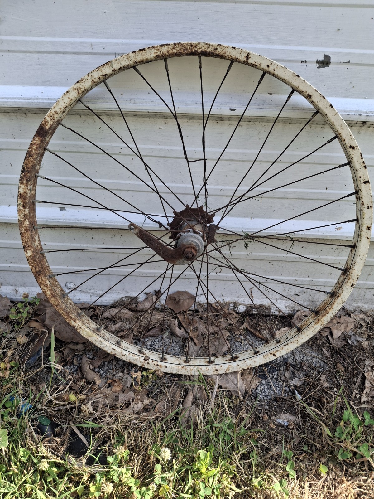 Schwinn 26
