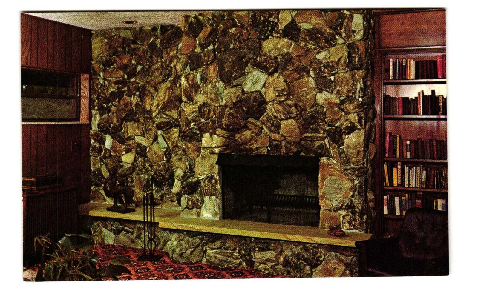 California driftwood Pan American Marble & Stone Co Miami FL VTG postcard