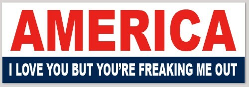 FUNNY BUMPER STICKER DECAL 