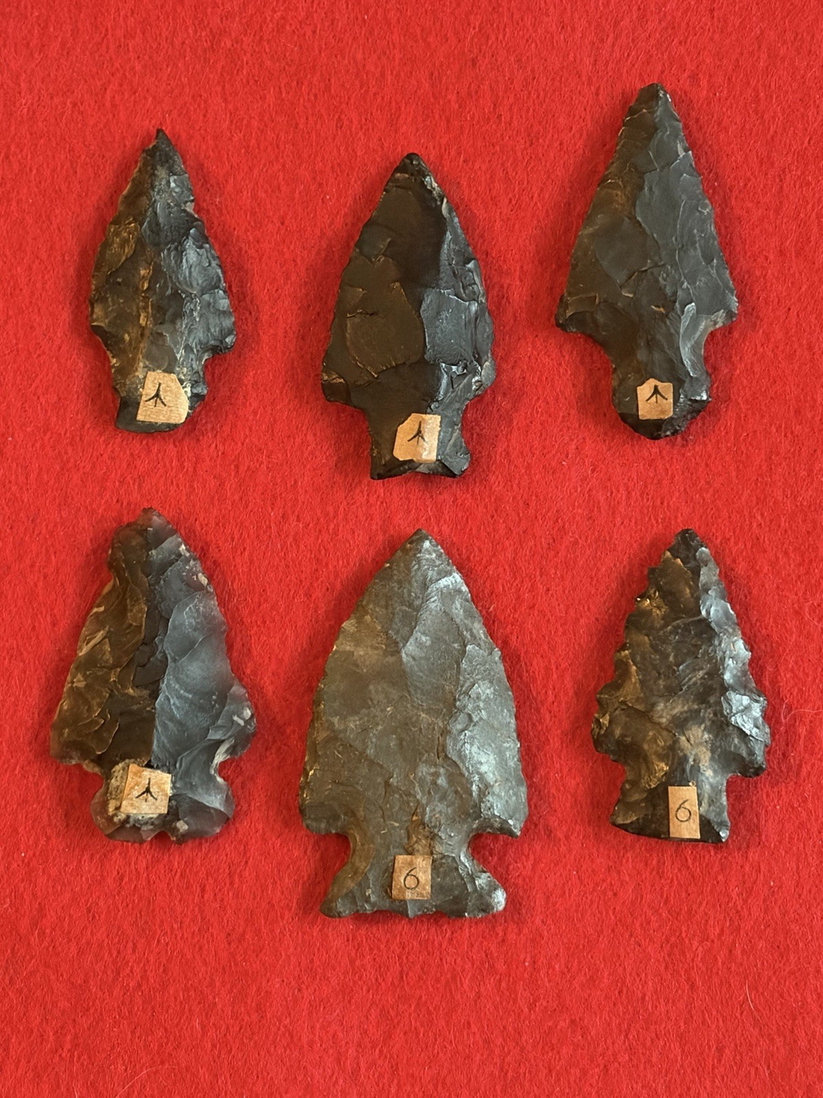 6 Associated POINTS  locale 
