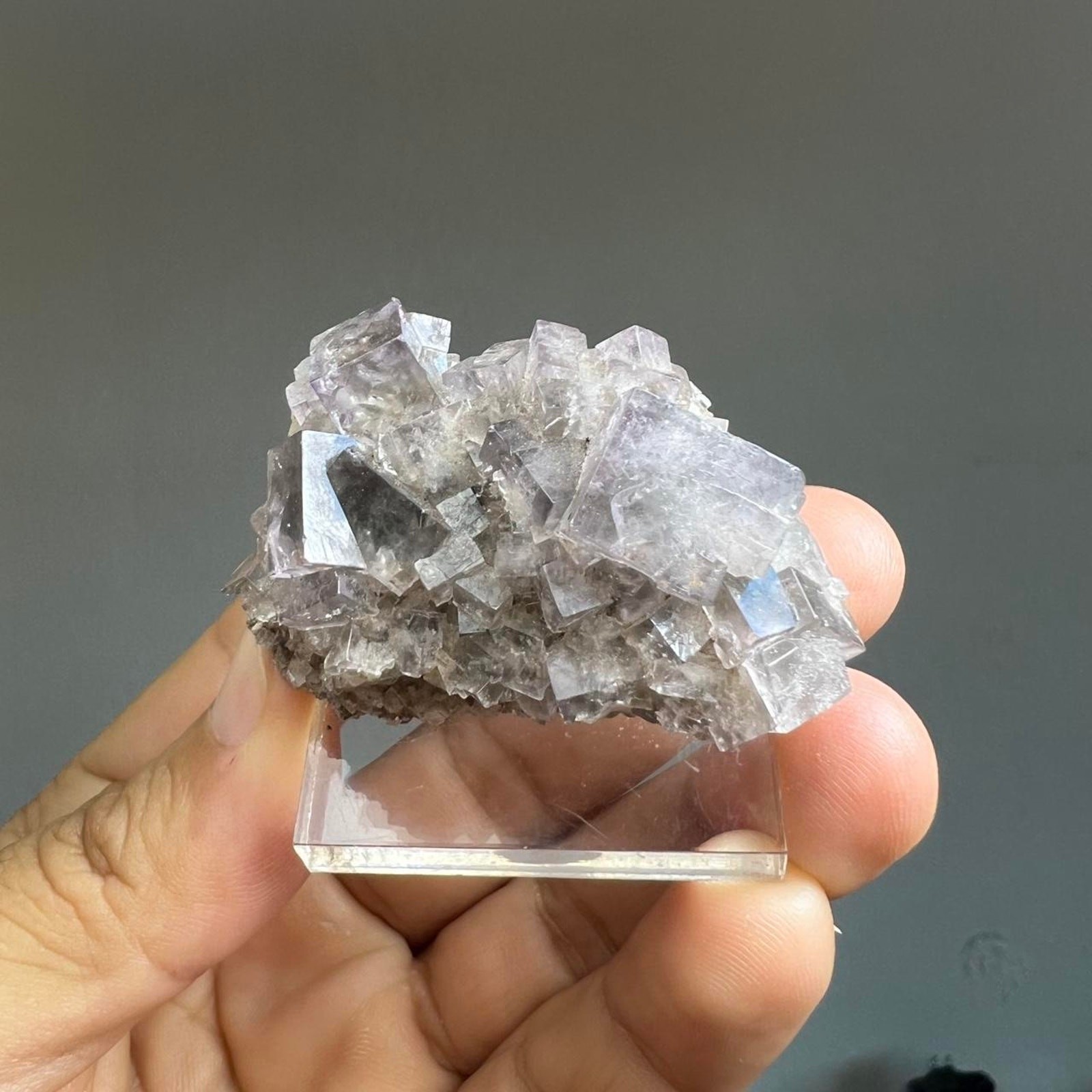 Raw purple and blue fluorite from the UK diana maria pocket crystal specimen