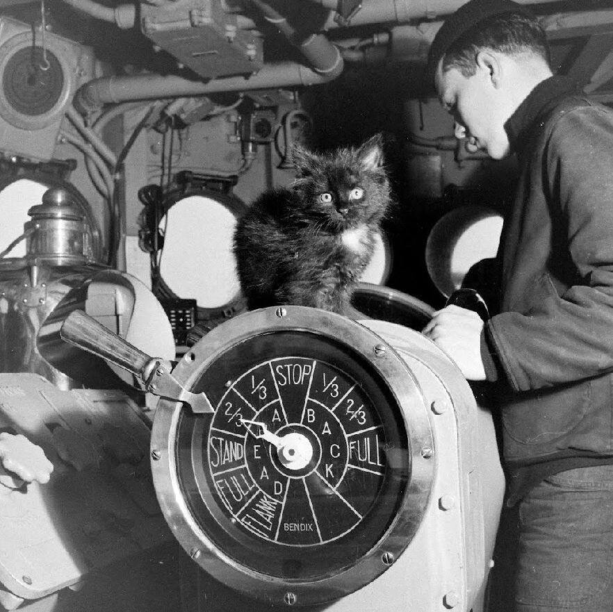 WW2 WWII Photo World War Two /US Navy Sailors in Action Destroyer Escort 7476