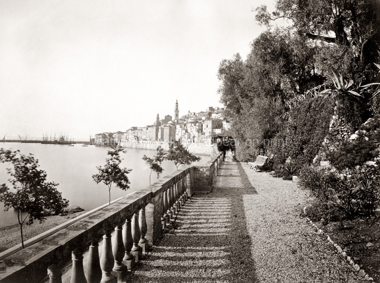 Menton France Mediterranean Coast Seaside Promenade Harbor Vtg. Photo 19thC.