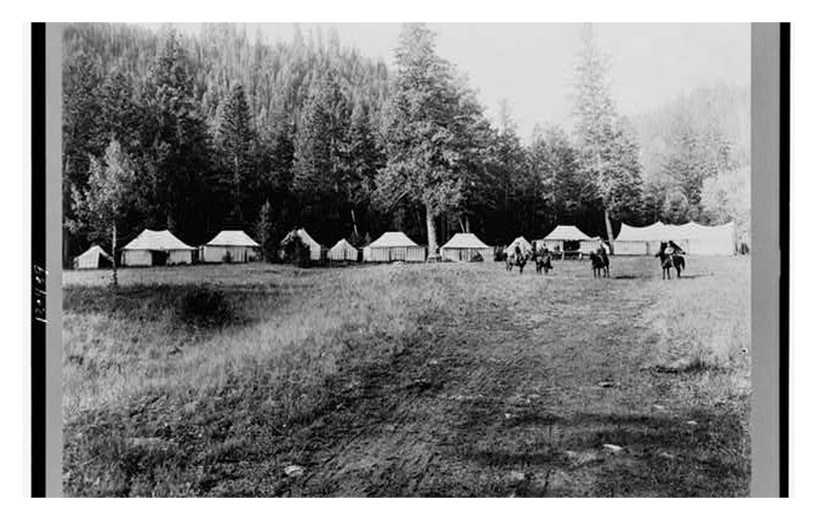 Yellowstone Roosevelt Camp Standard Postcard
