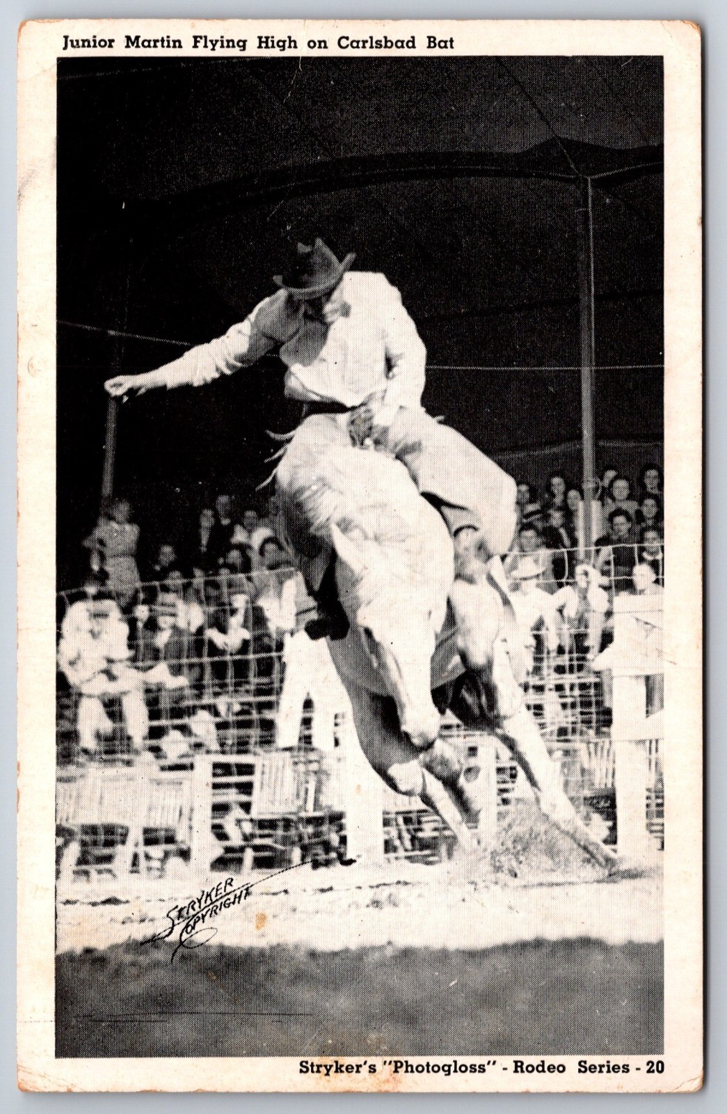 Western~Junior Martin Flying High On Carlsbad Bat Horse~B&W~Vintage Postcard