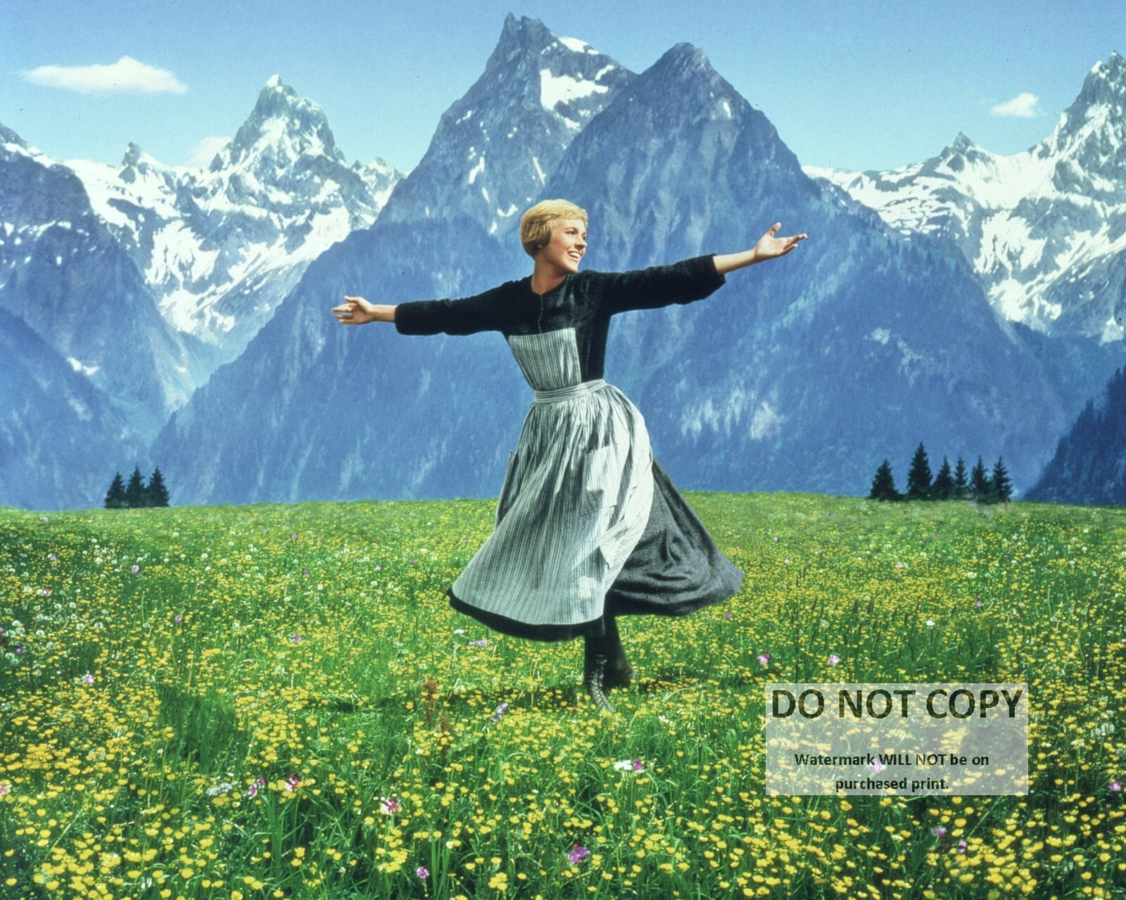 JULIE ANDREWS IN 