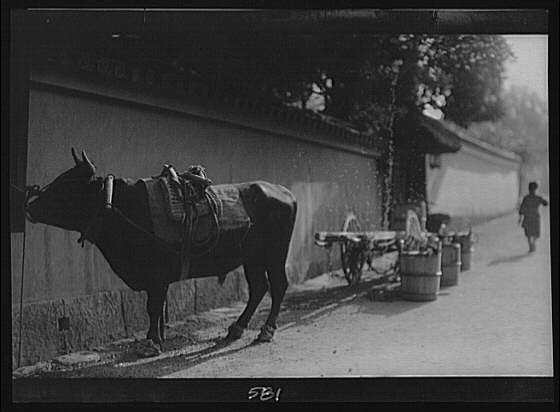 Photo:Japan 1908 Ox Cart Street Wall Arnold Genthe Travel View