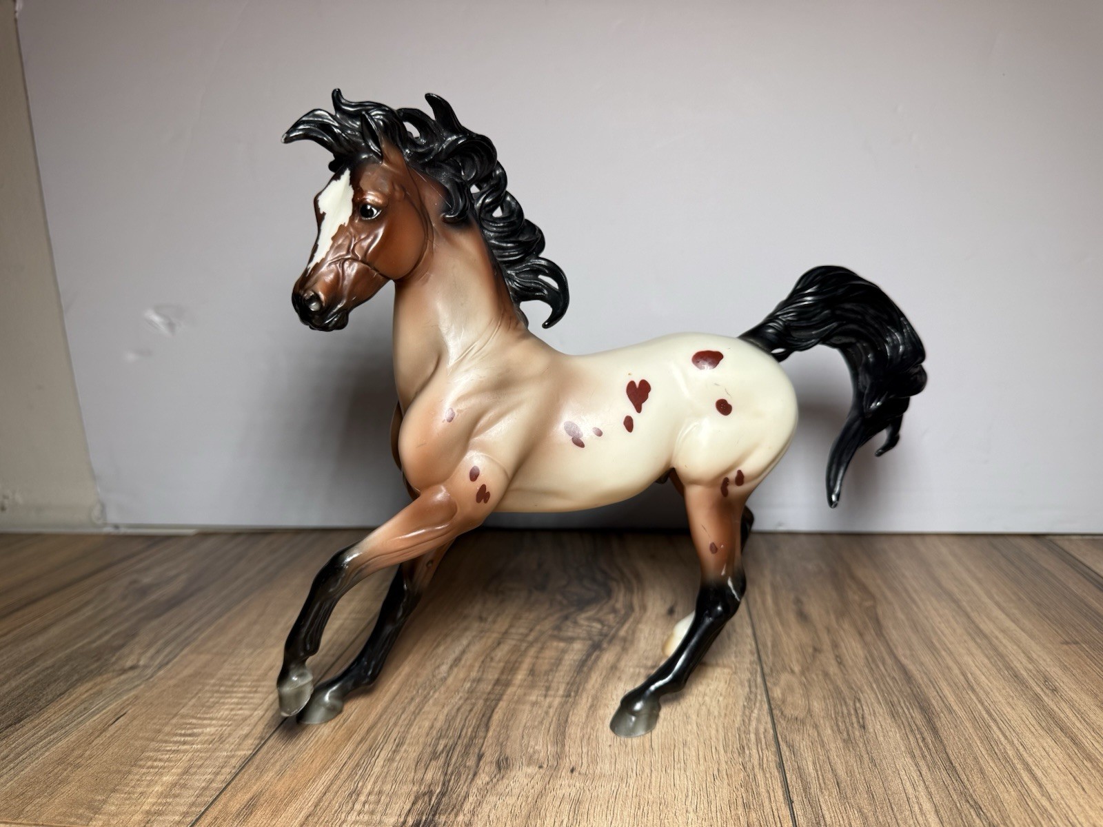 BREYER WILDER Arabian Appaloosa TSC Tractor Supply EXCLUSIVE Model HORSE