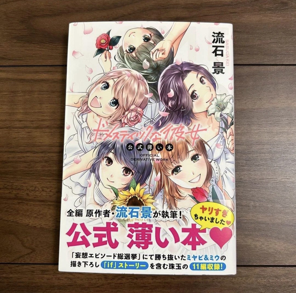 New Domestic Girlfriend na Kanojo Official Derivative Work Book Manga Japan