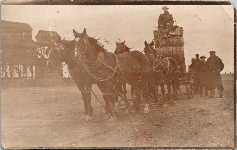 RPPC Postcard Teamster Delivering Wagon Load Wire Fencing c.1904-1918      20307