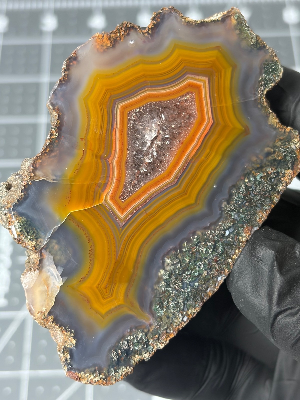 Stunning Condor Agate Polished Quartz Colorful Banding Fortifications