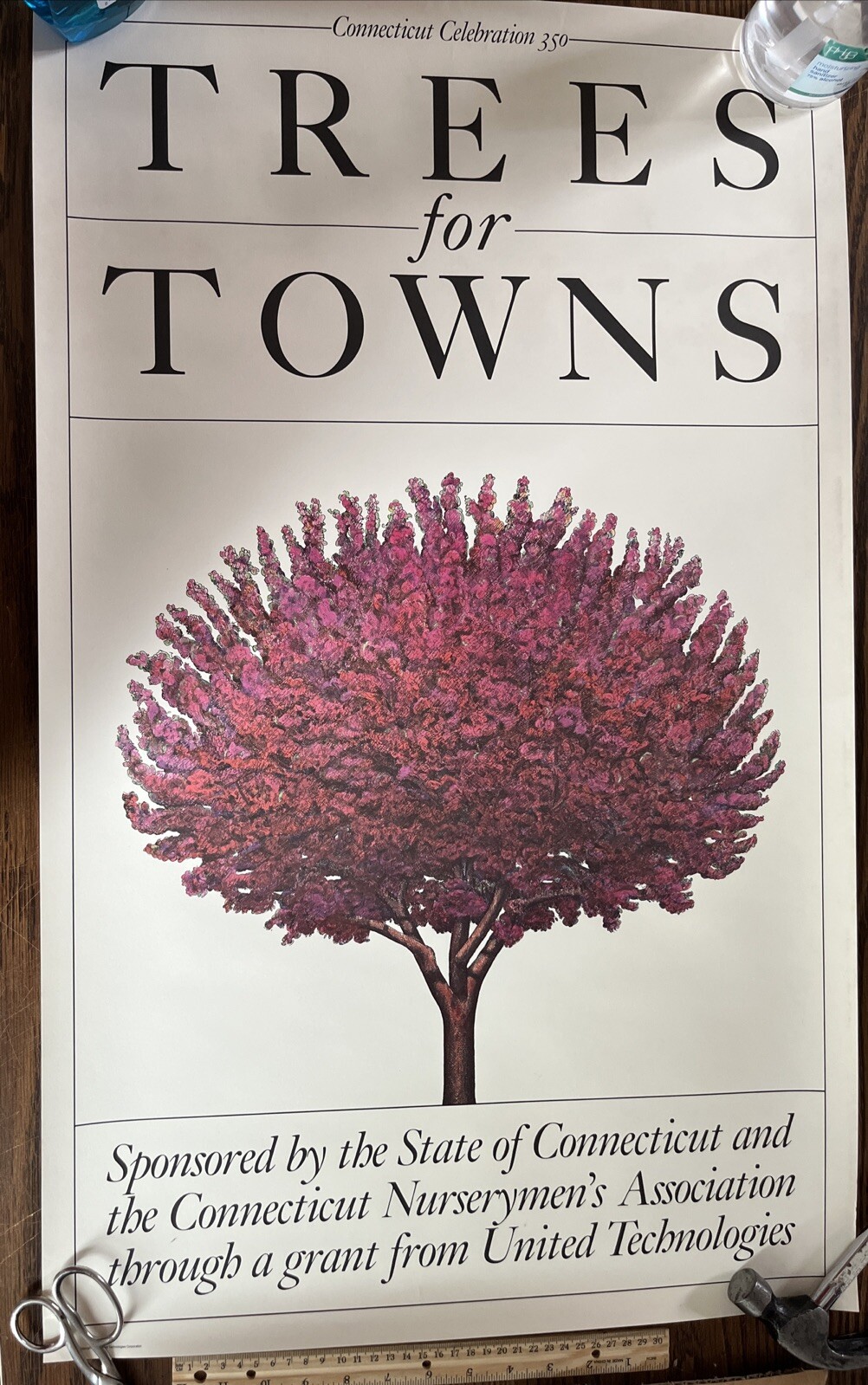 Rare 1986 Vintage Connecticut Celebration 350 Poster: Trees For Towns Nursery