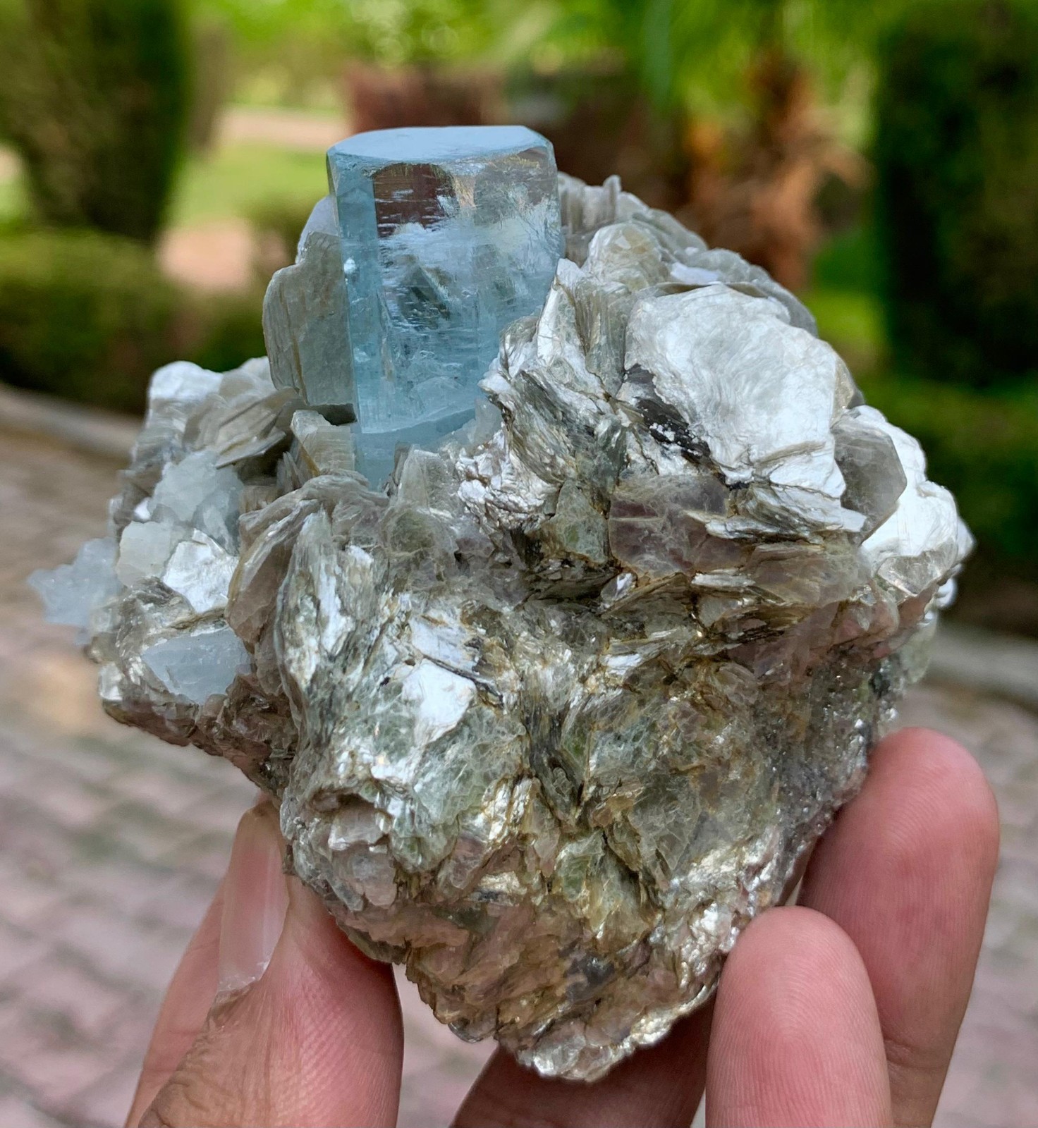 Transparent Aquamarine Crystals with Muscovite 310g Specimen From Chumar Bakhoor