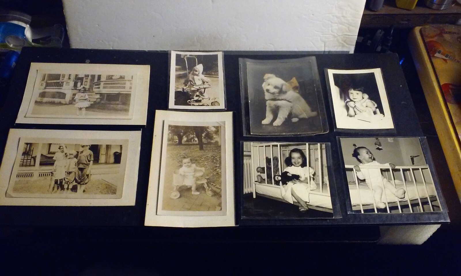 Lot 8 Vintage Antique Original Snapshot Photos Children Babies Doggie in Sleeves