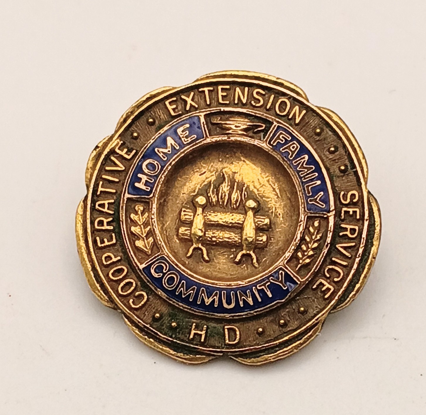 Vintage 10K Gold Filled Cooperative Extension Service HD Pin Home Family