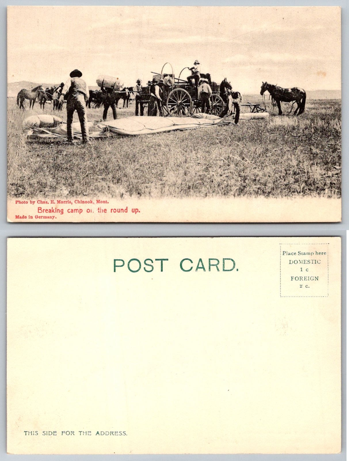Chinook Montana Cowboys Round Up Breaking Camp Horses Chas E Morris Postcard