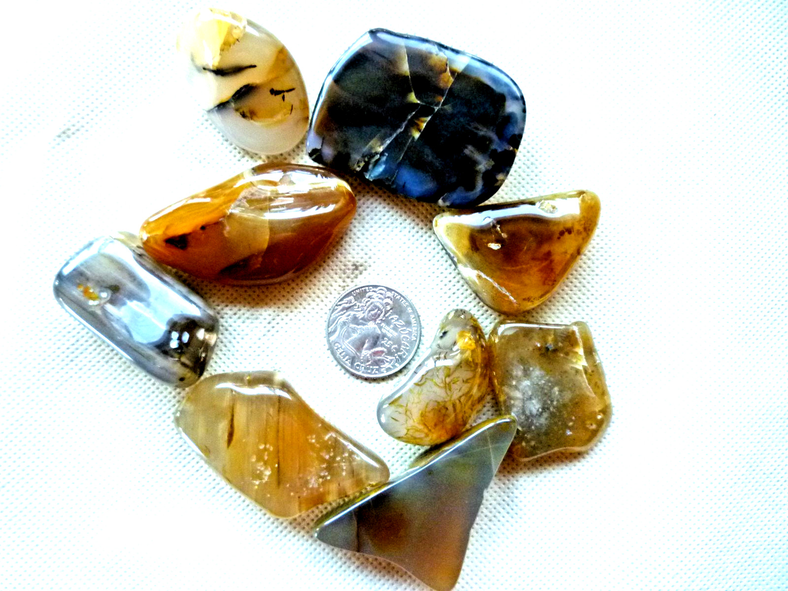 Yellowstone Montana Moss Agate Dendrites 228 grams 8 oz Polished and Beautiful