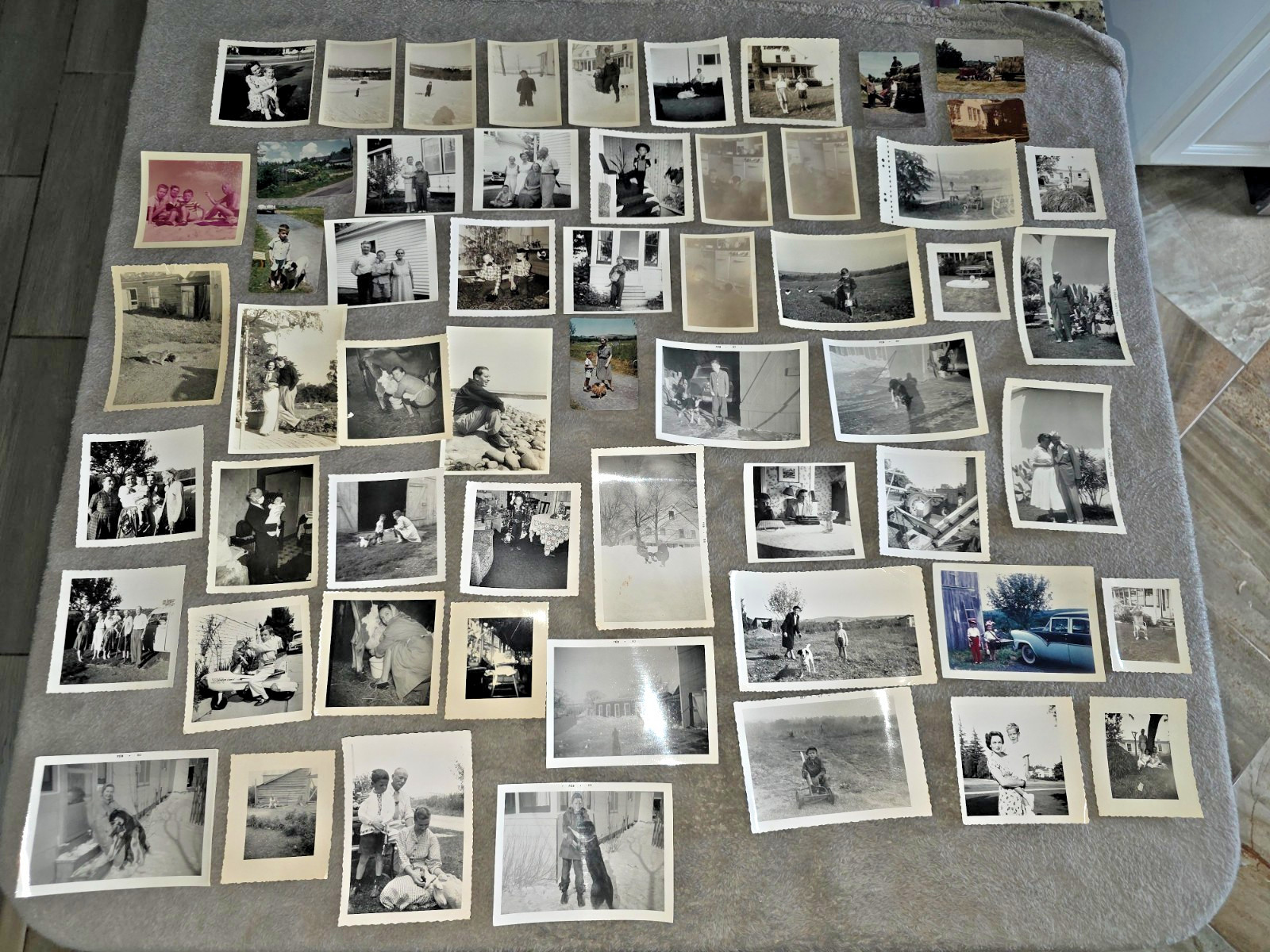 Vintage Petroff Family Archive 117 Photos 23 Negatives Nadia Petrova Gardiner
