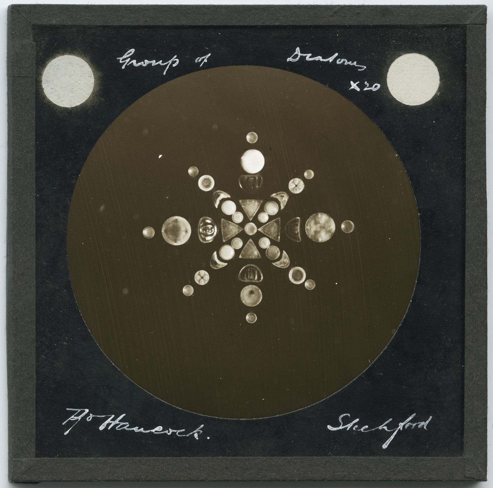 Antique Magic Lantern Slide by Hancock - Microscope Slide Photo Group of Diatoms