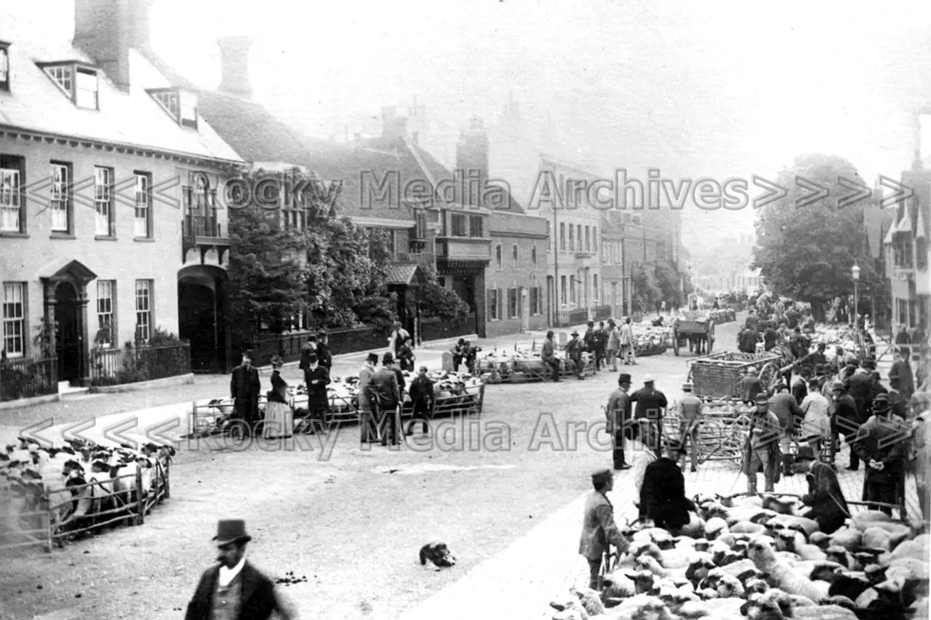 hyy-98 Sheep Market, Bancroft, Hitchin, Hertfordshire. Photo
