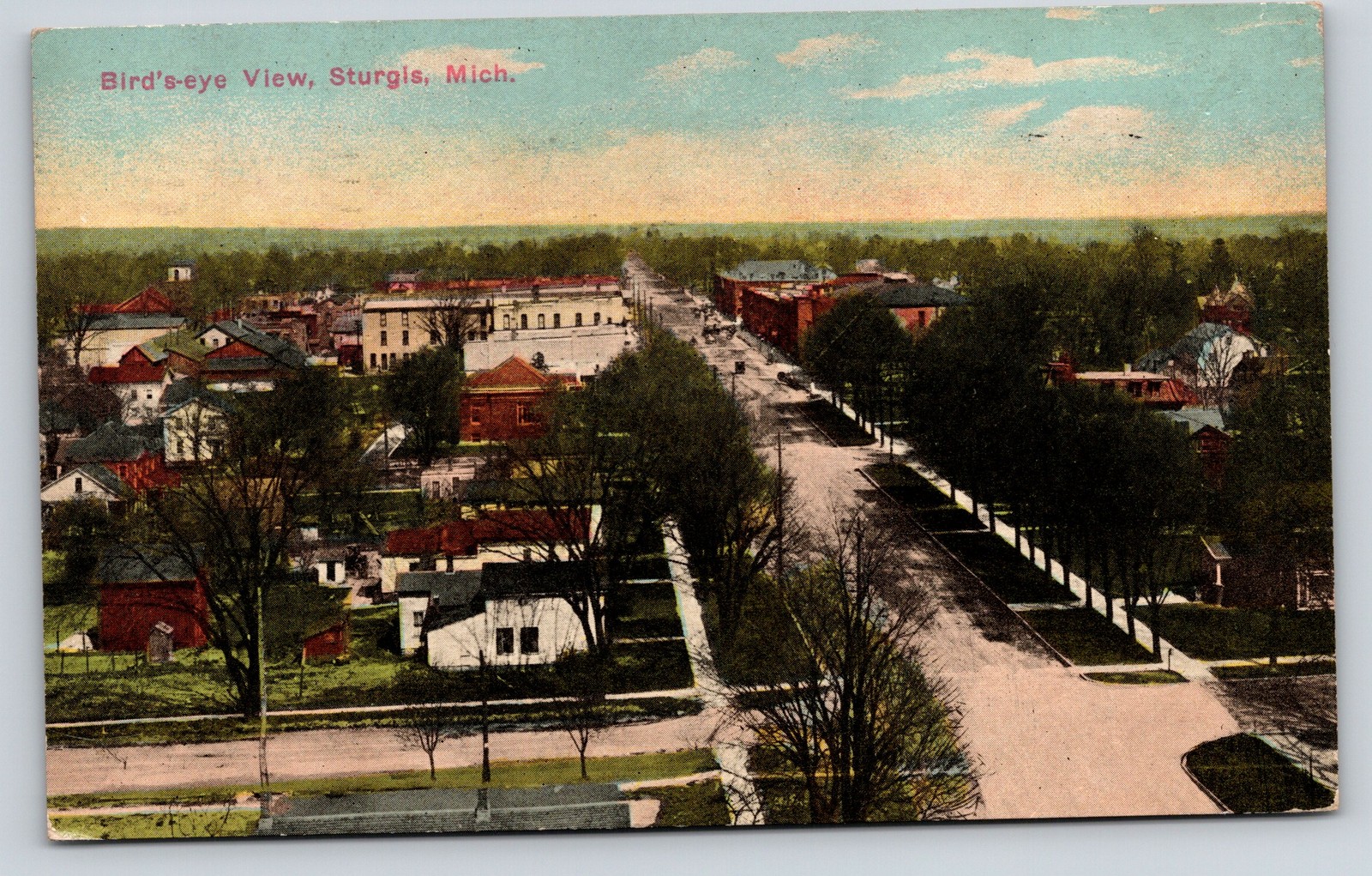 Sturgis Michigan~Birdseye Homes~Backyards~Businesses on Street~1913 PC          