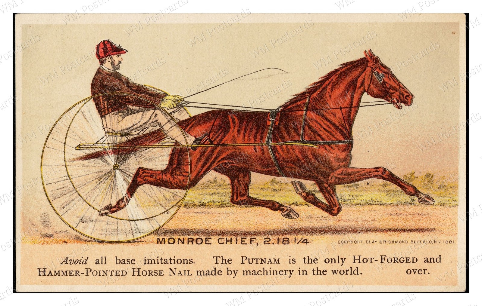 Buffalo New York 1881 Putnam Nail Horse Sulky Standard Postcard