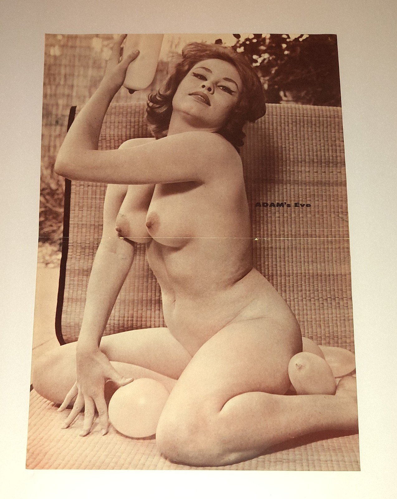 Vintage 1960s Glamour Pinup Photo Art Pop Art Magazine Production Layout Set...