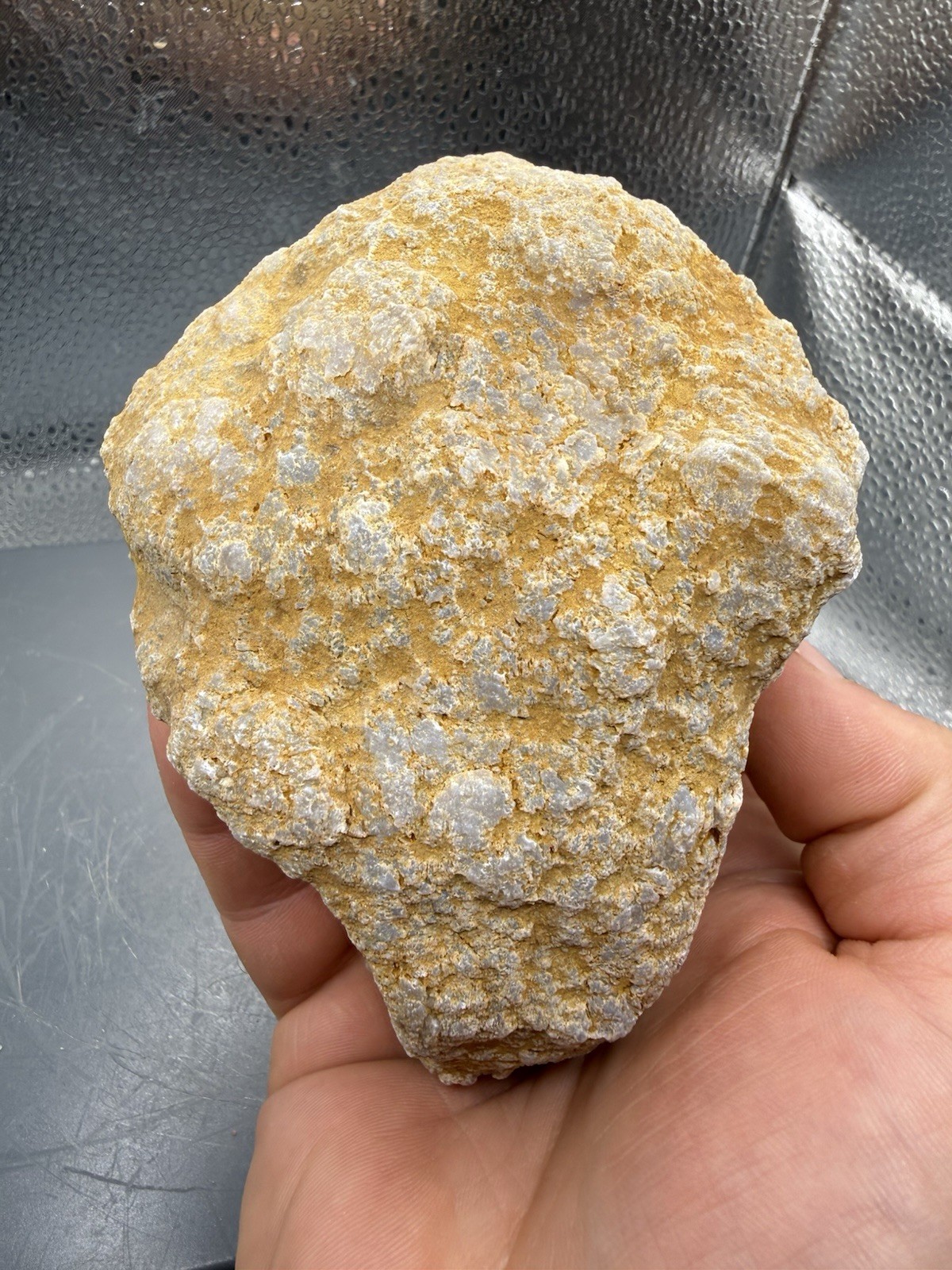 Fossilized Indiana Geode Crinoid Calyx Blue Quartz Chalcedony 2,900 Carats