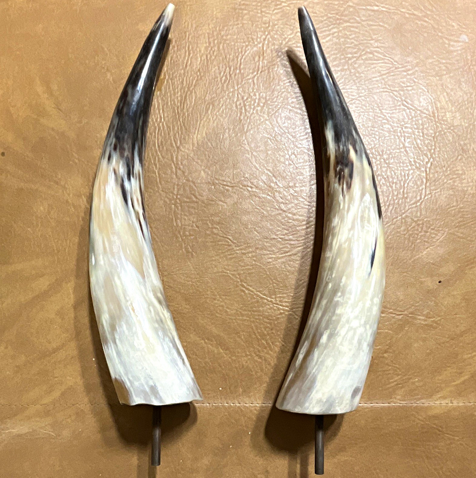 Western Americana Pair Cow Horn Decor on Metal Posts Black/White Mottled 15 in