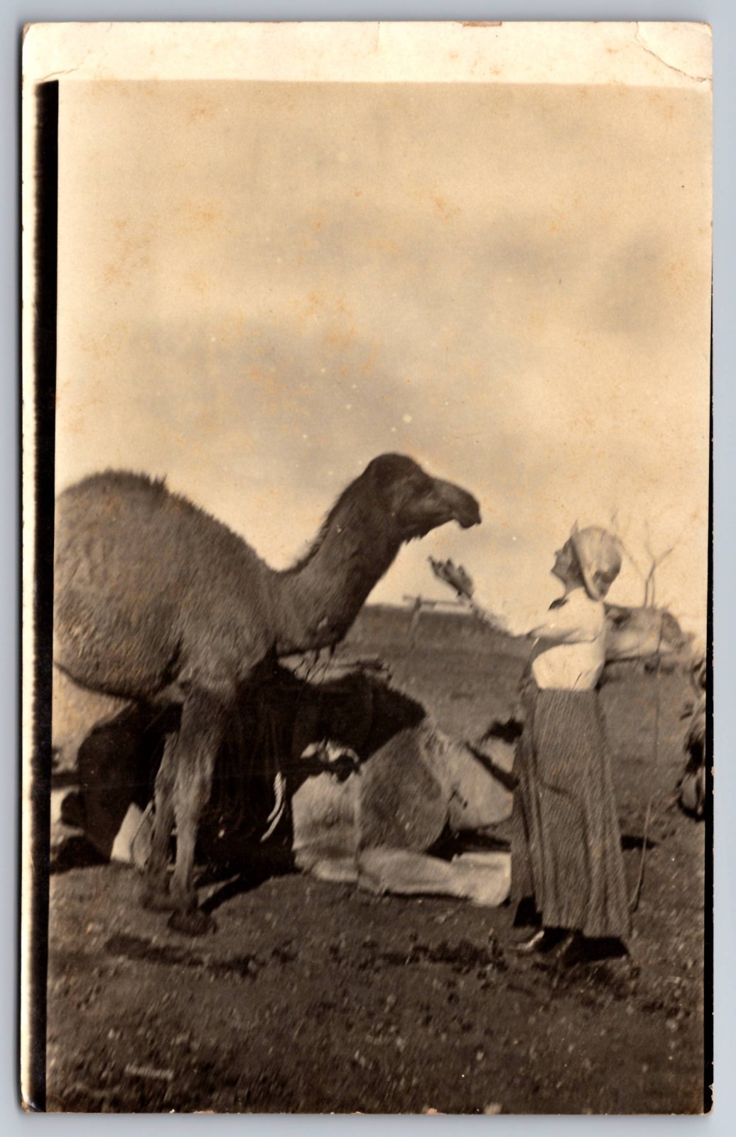 RPPC Woman & Camel Named Blacky Kodak Austral Real Photo Postcard