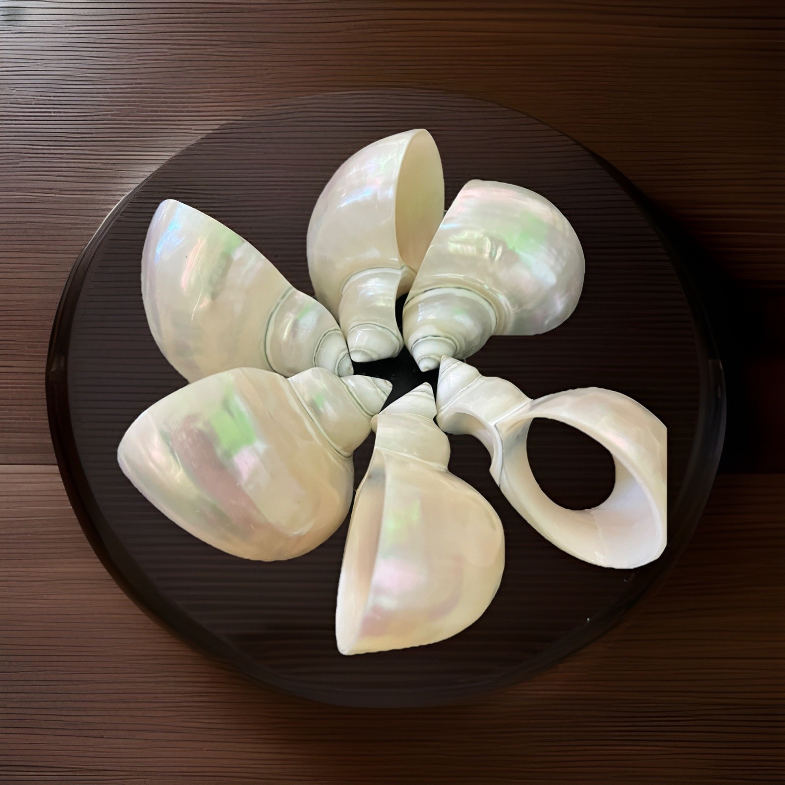 Vtg Made In Philippines Pearl Iridescent Sea Shell Napkin Holders Set Of 6