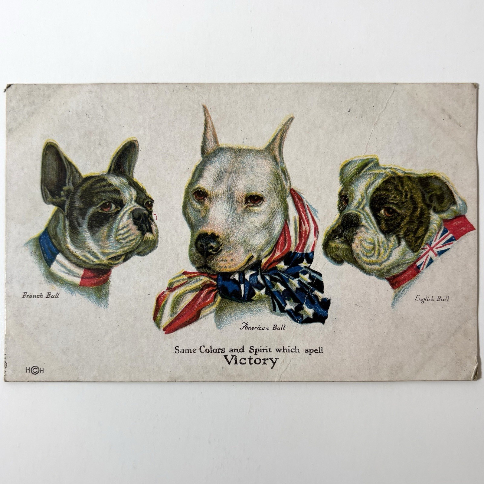 WWI Patriotic Postcard Bulldog French American English Victory Wallace Robinson