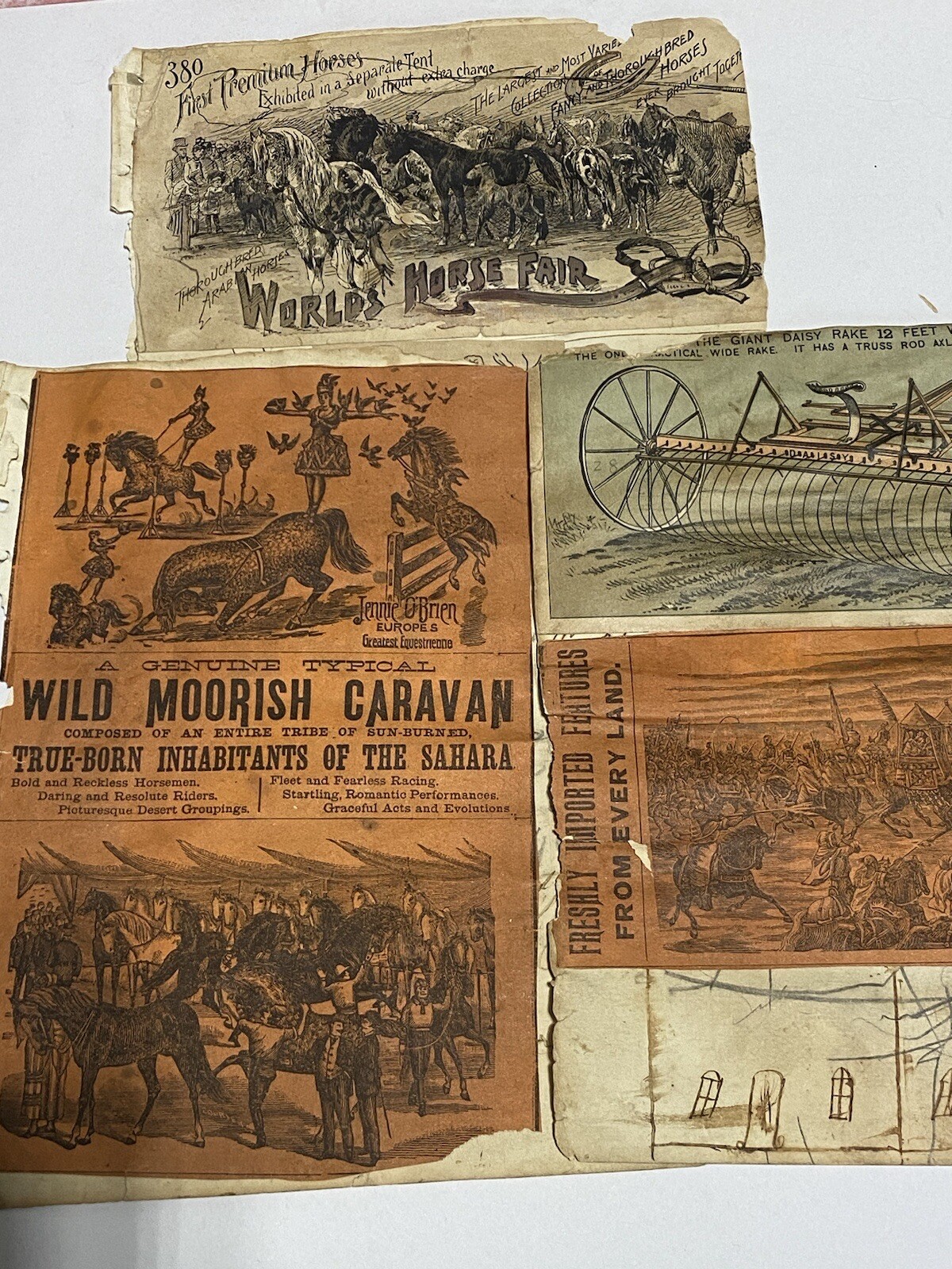 Vtg 1890’s Wild Moorish Caravan Circus Handbill Jennie O’Brien Worlds Horse Fair