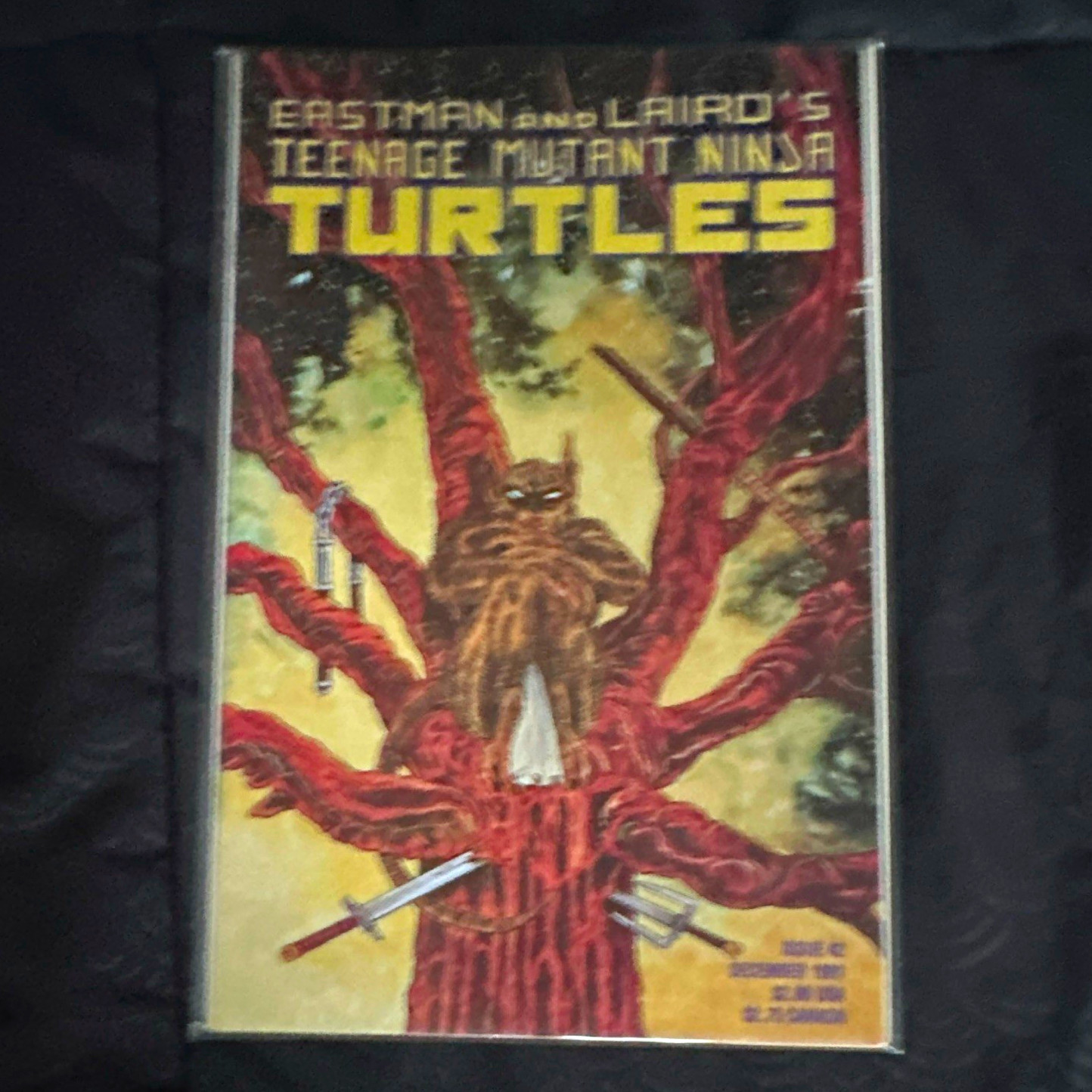 Teenage Mutant Ninja Turtles: Juliet\'s Revenge Mirage English McCollum Anderson