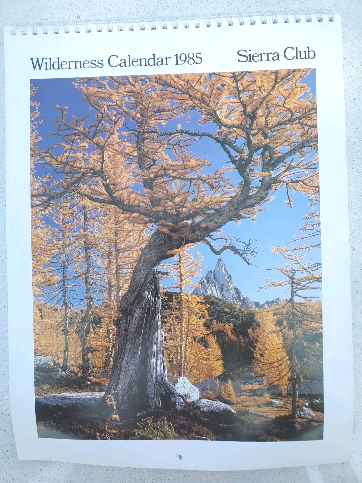 Sierra Club Wilderness Calendar Vintage 1985 12 Month Nature Photographs
